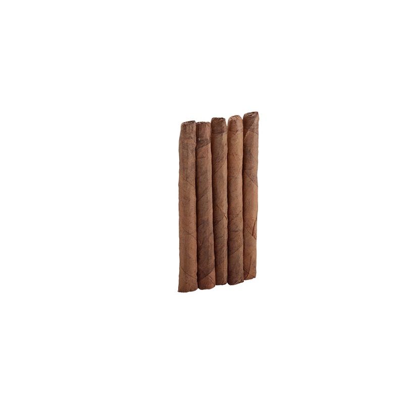 ACID Acid C-Note 5 Pack