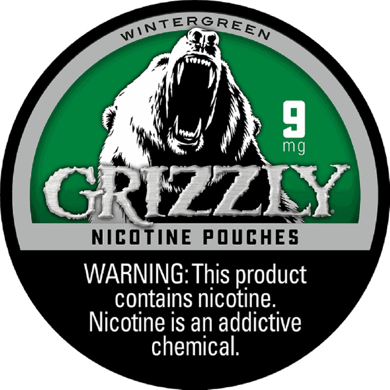 Grizzly Nicotine Pouches – Wintergreen 6mg